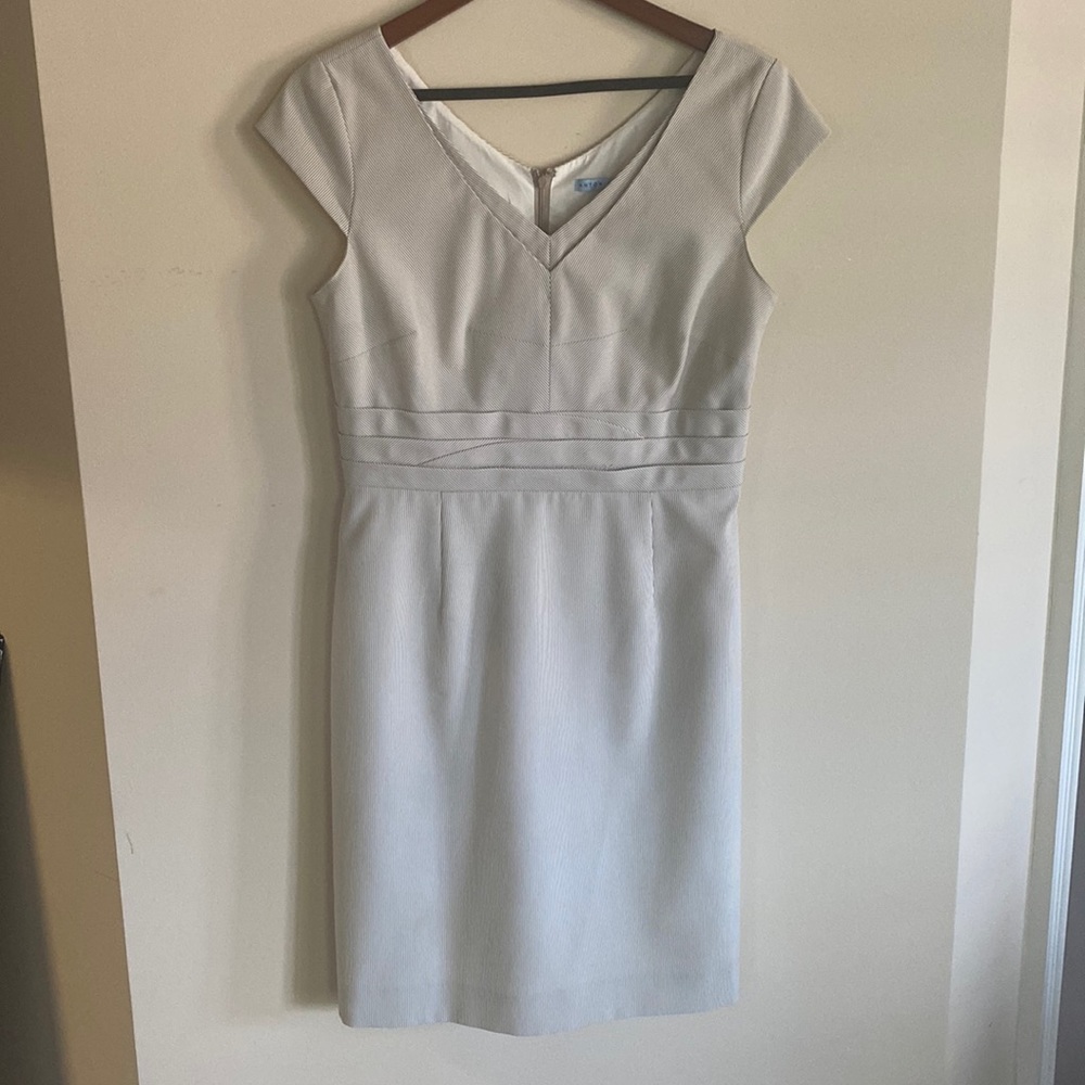 Antonio Melani Tan Dress 10